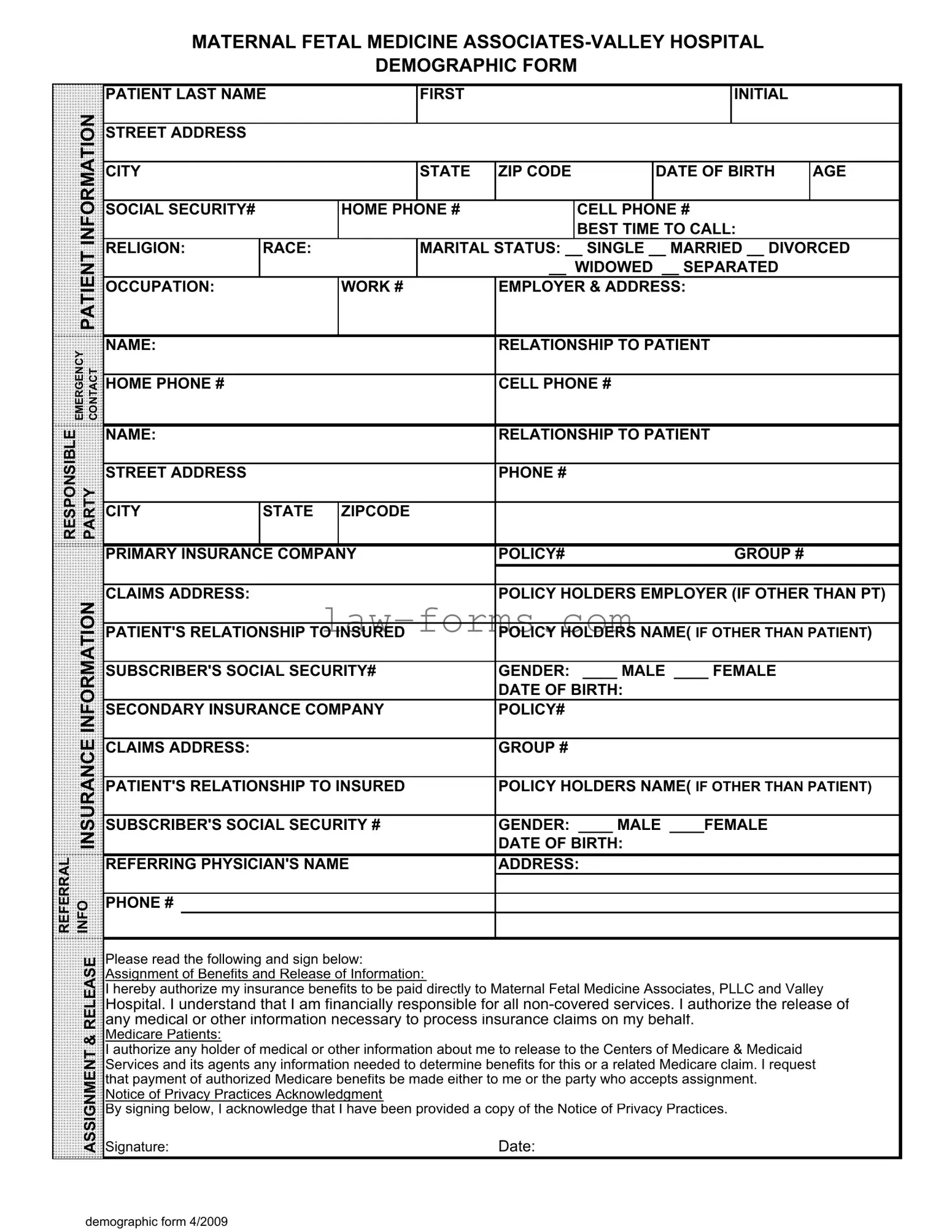 Patient Demographics PDF Template