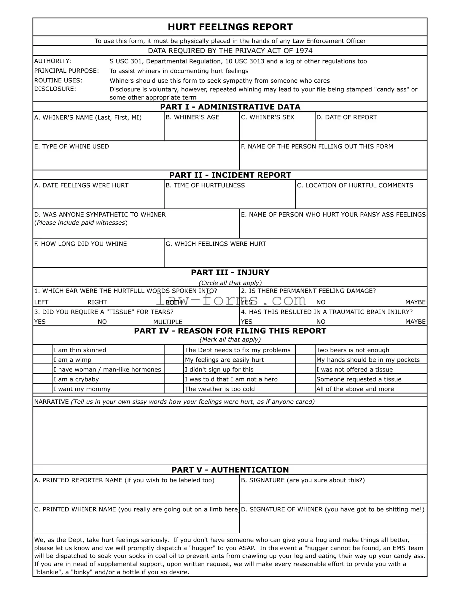 Hurt Feelings Report PDF Template