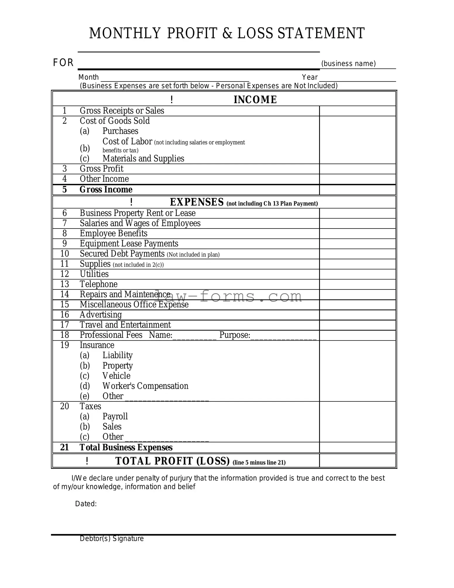Profit And Loss PDF Template