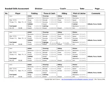 Baseball Assessment PDF Template