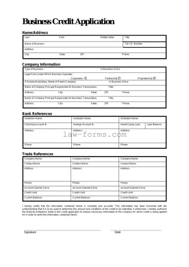 Business Credit Application PDF Template