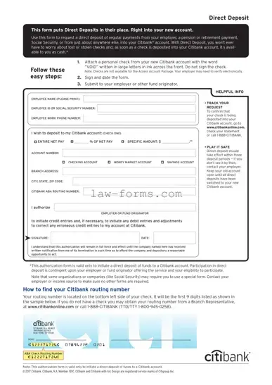 Citibank Direct Deposit PDF Template