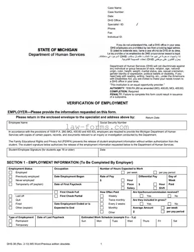 Dhs 38 PDF Template