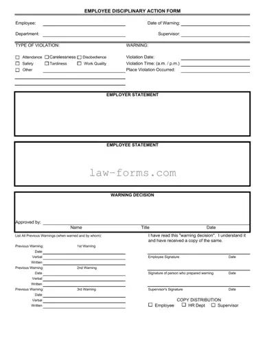 Disciplinary Action PDF Template