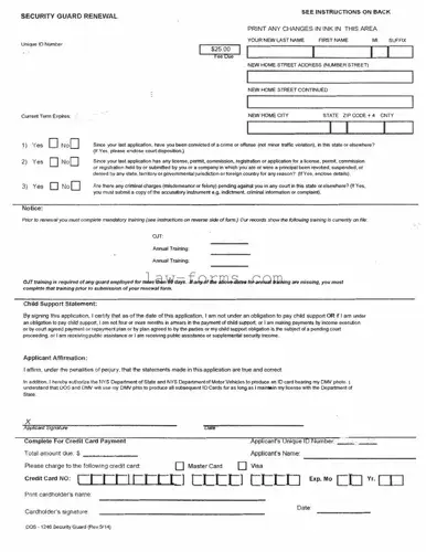 Dos 1246 PDF Template