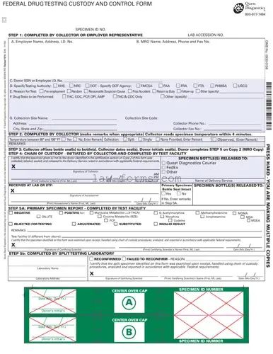 Drug Screen PDF Template