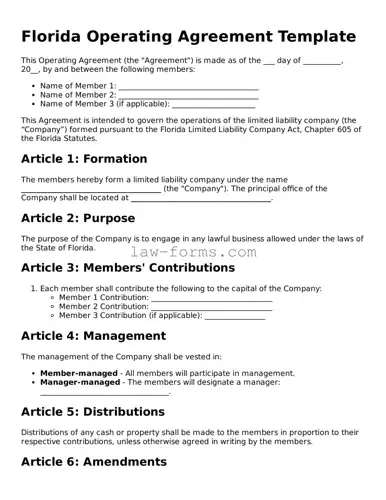 Valid Operating Agreement Form for Florida State