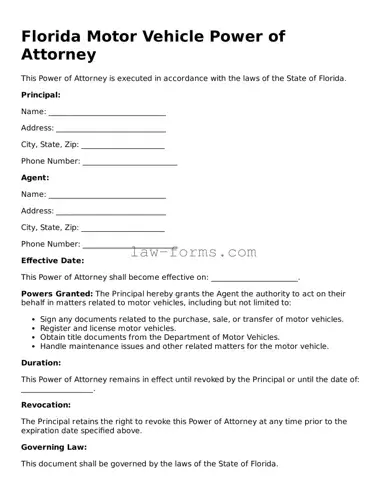 Valid Motor Vehicle Power of Attorney Form for Florida State