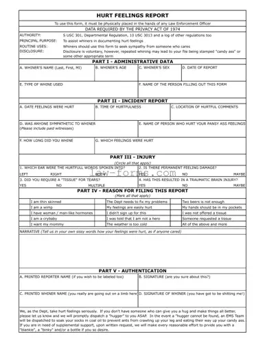 Hurt Feelings Report PDF Template