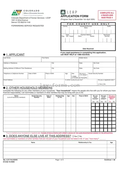 Leap application IML-4 PDF Template