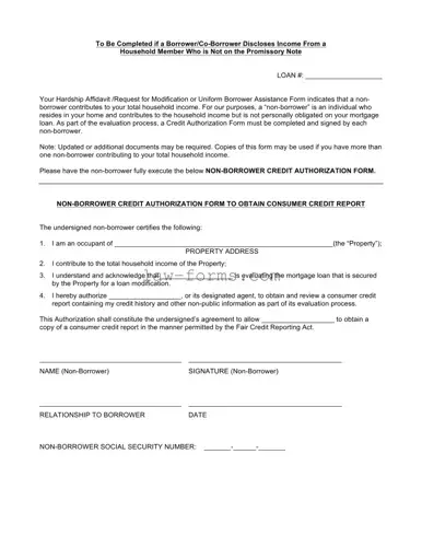 Non Borrower Credit Authorization PDF Template