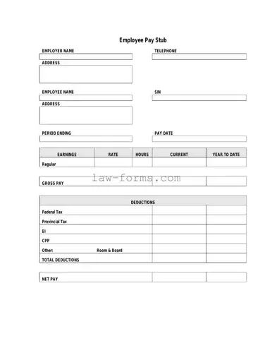 Pay Stub PDF Template