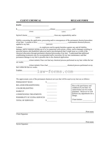 Salon Chemical Waiver PDF Template