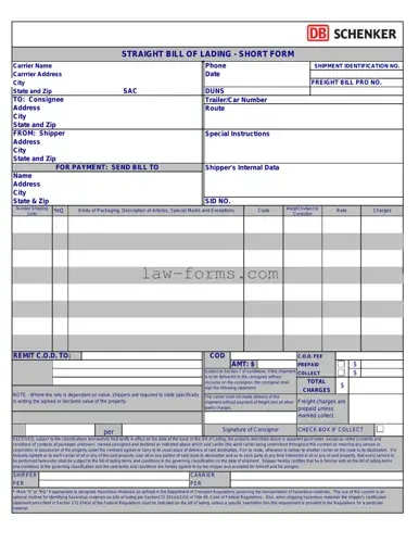Straight Bill Of Lading PDF Template