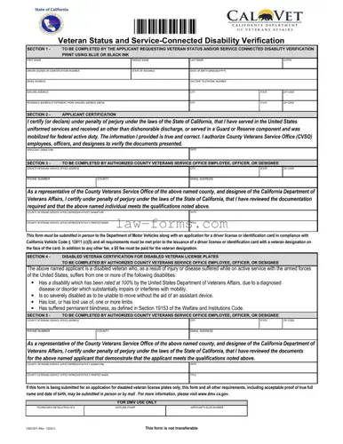 Vsd 001 PDF Template