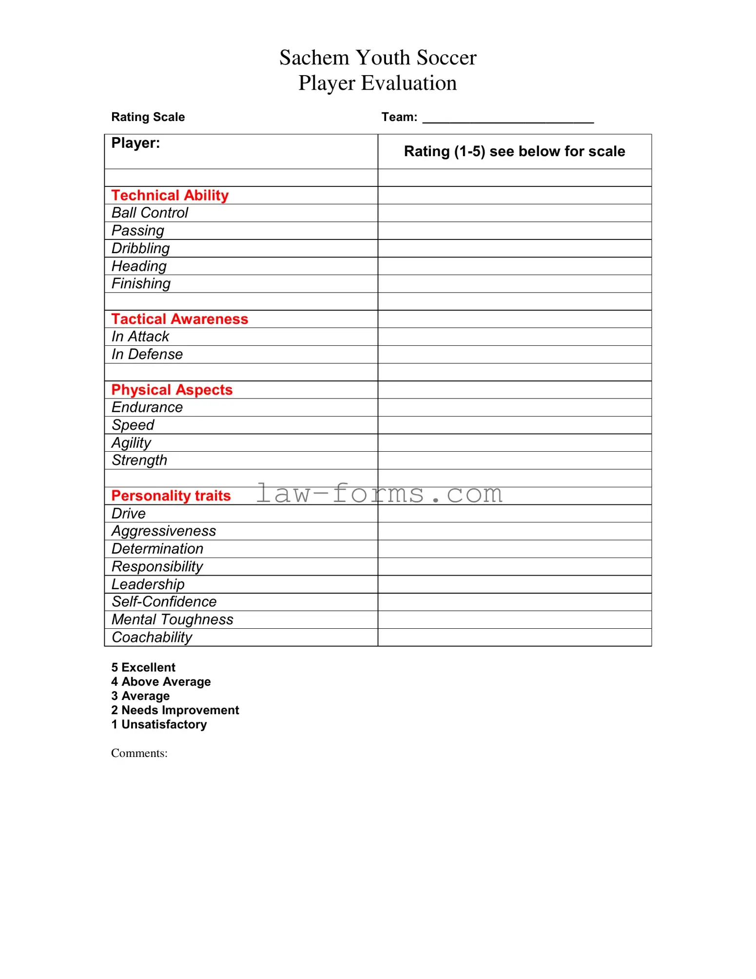 Soccer Player Evaluation PDF Template